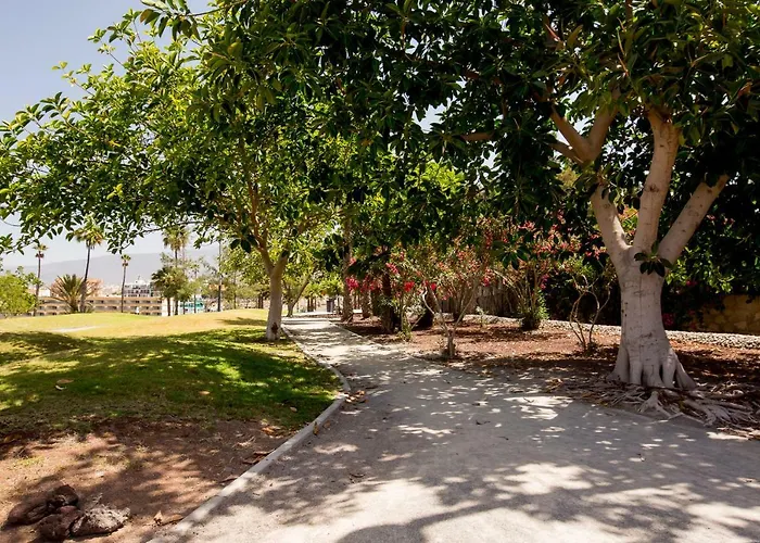 Appartement Las Americas Las Floritas