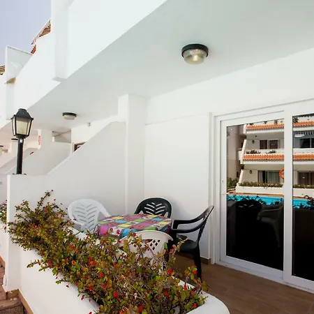 Flor Azul, Americas Playa de las Americas (Tenerife)