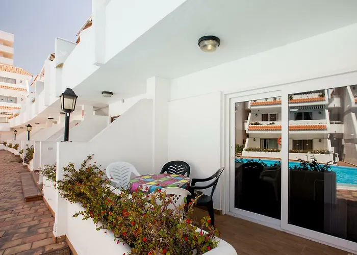 Flor Azul, Americas Playa de las Américas